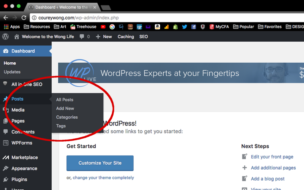 Wordpress post drop down menu